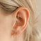 Earrings - Solid Gold Graduated Rook Hoop - Rook Piercing Hoop - Astrid &amp; Miyu